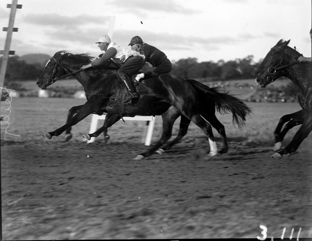 Horse races at Acton Racecourse
