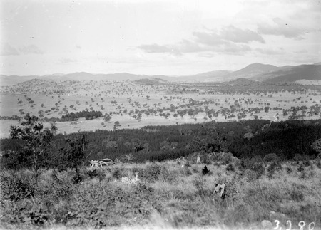 Unidentified landscape