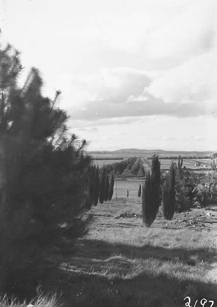 Northbourne Avenue from City Hill