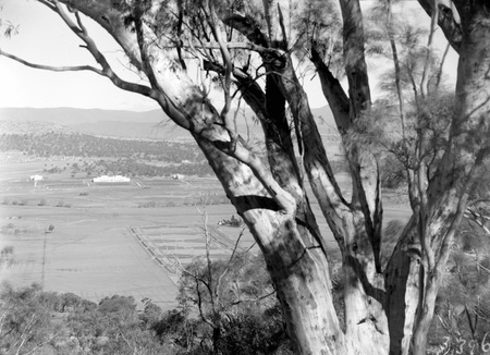 Parliament House from Mt Ainslie with East and West Blocks