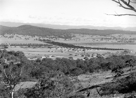 Haig Park and Braddon from the slopes of Mt Ainslie