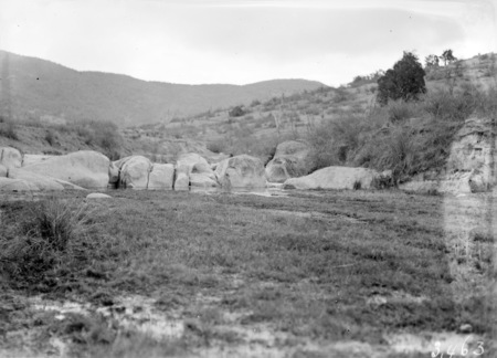 Fluke breeding streams, Molonglo Gorge?