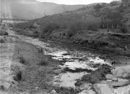 Fluke breeding stream, Molonglo Gorge?