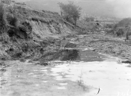 Fluke breeding stream, Molonglo Gorge?