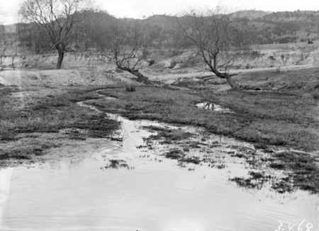 Fluke breeding stream, Molonglo Gorge?