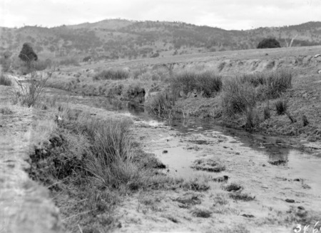 Fluke breeding stream, Molonglo Gorge?