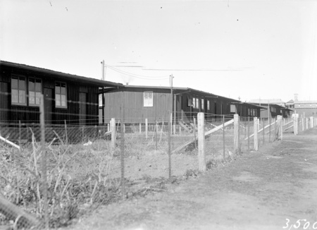 Molonglo tenements.