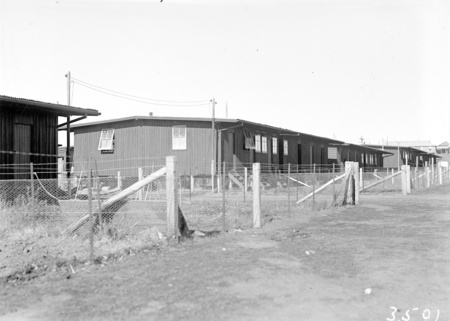 Molonglo tenements.