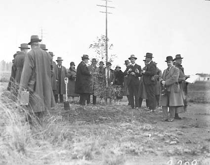 Group photographs taken at various points during visits by the Institution of Engineers for tree planting in Canberra Avenue