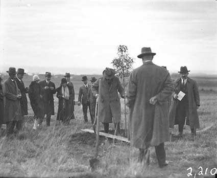 Group photographs taken at various points during visits by the Institution of Engineers for tree planting in Canberra Avenue