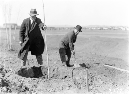 Tree planting ceremony in Brisbane Avenue by members of the Commercial Travellers Association.