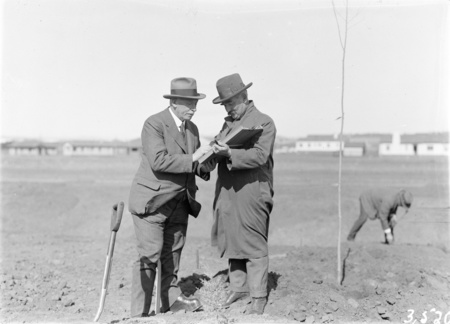 Tree planting ceremony in Brisbane Avenue by members of the Commercial Travellers Association.