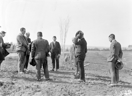 Tree planting ceremony in Brisbane Avenue by members of the Commercial Travellers Association.