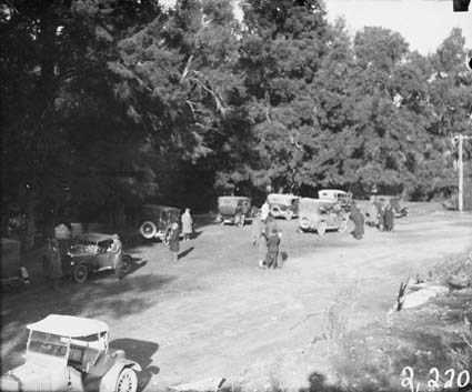 Group photograph of Cotter picnic grounds during visit by the Institution of Engineers for tree planting in Canberra Avenue