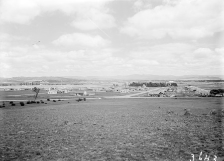 Reid from north of Limestone Avenue, looking down Coranderrk Street.