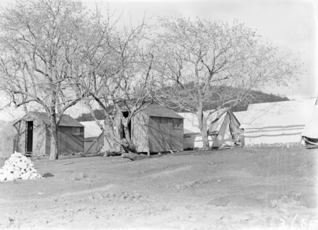 Tents and huts, Forestry Camp, Mount Coree.