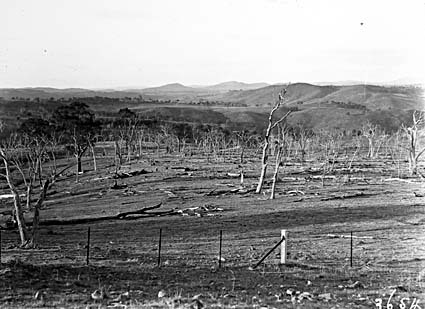 Unidentified landscape, Forestry Camp Mount Coree