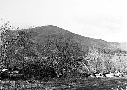 Unidentified lansdcape, Forestry Camp Mount Coree