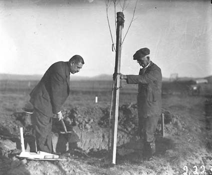 Tree planting in Canberra Avenue by visiting Rotarians