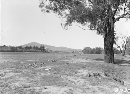 View of Canberra Golf Links.