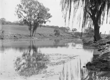 View of Canberra Golf Links, Molonglo River in front.