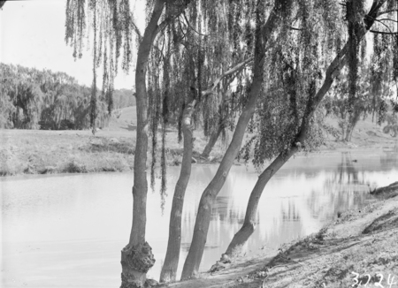 View of Canberra Golf Links, Molonglo River in front.