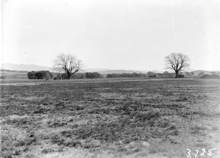 View of Canberra Golf Links.