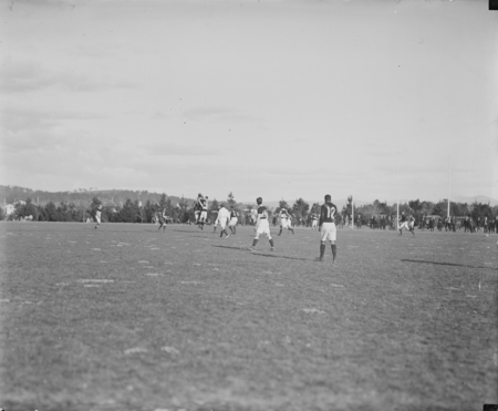 Crowd and players during the Australian Rules Football final.