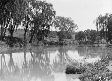 View of Canberra Golf Links, Molonglo River in front.