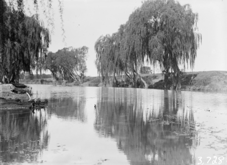 View of Canberra Golf Links, Molonglo River in front.