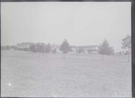 Telopea Park School from the playing fields.
