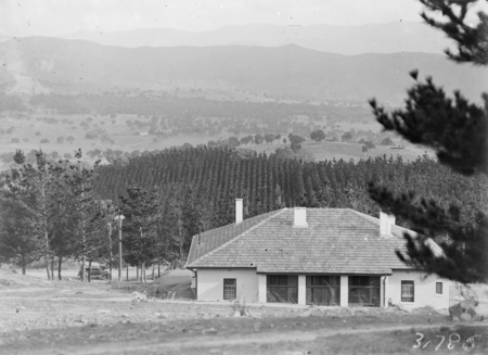 Pine plantation from Mount Stromlo. Observatory home in foreground.