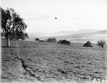 Unidentified landscape.