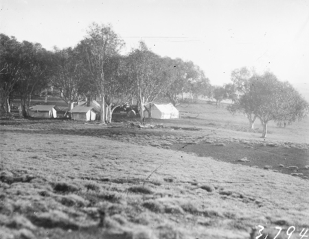 Small camp in the trees.