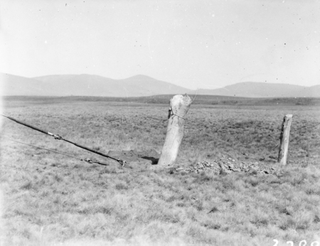 Strainer post to anchor guy ropes.