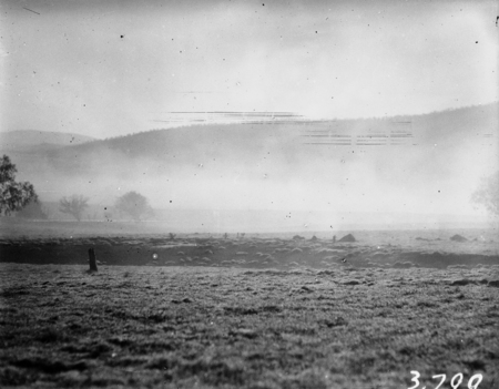 Unidentified landscape with early morning fog.