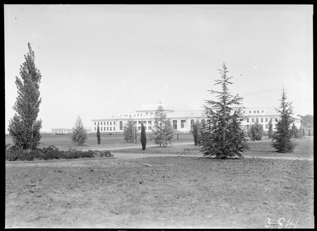 Trees at Parliament House.