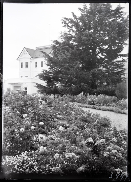Trees and rose gardens at Government House, Yarralumla.
