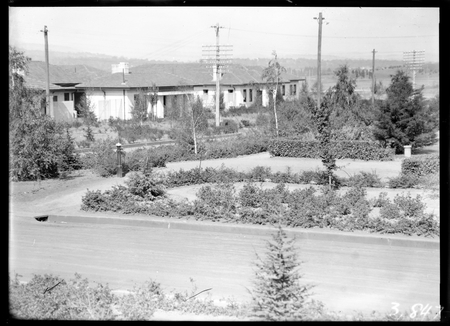 Garden, streets and houses at Kingston.
