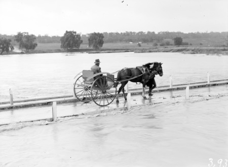 Floodwaters at Acton Crossing with horse and gig being lead across the bridge.