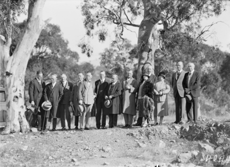 Group in the bush.