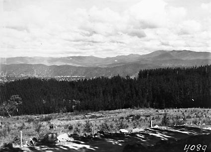 Mt Stromlo Pine plantations looking south west