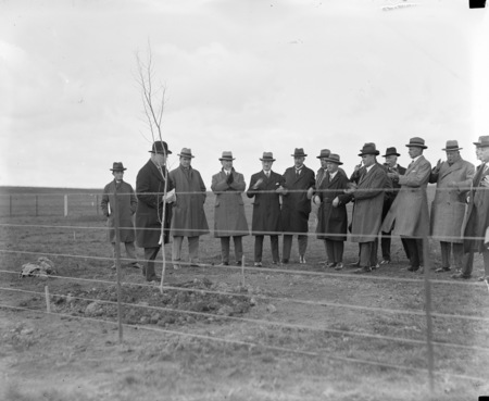 Tree planting ceremony by the Chamber of Commerce.
