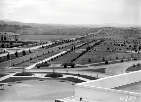 Commonwealth Avenue looking north, Albert Hall and Commonwealth Bridge from West Block Offices showing young trees