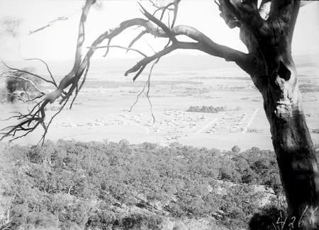 Reid from Mount Ainslie