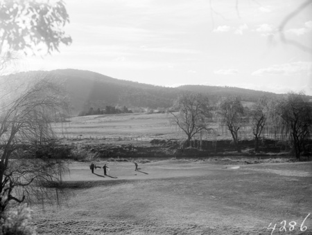 Golfers putting on a green.