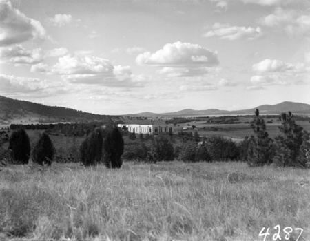 Rear of Australian Forestry School Banks Street, Yarralumla.