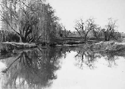 Molonglo River,Winter Scene
