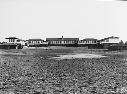 Telopea Park school from playing fields