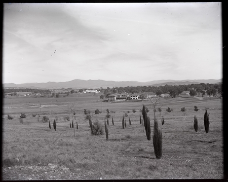 Hotel Acton from Mount Vernon (City Hill). Trees in foreground are Roman Cypress with deciduous trees.